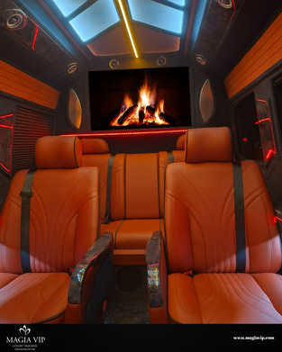 VIP Minibus seating